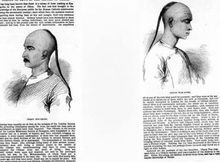 外文文獻中的金錢鼠尾