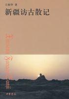 新疆訪古散記 新疆訪古散記