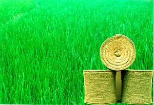 （圖）紅甸回族鄉席草寨村席草編制工藝