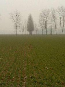 祝莊村[河南省周口市太康縣五里口鄉下轄村]