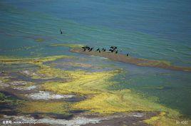 水域納污能力計算規程 水域納污能力計算規程