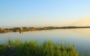 瑪納斯濕地公園 瑪納斯濕地公園