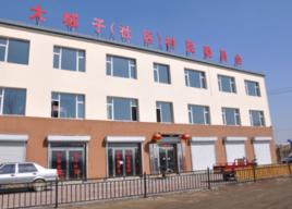 大城子鎮[遼寧省喀喇沁左翼蒙古族自治縣大城子鎮]