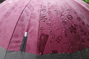 日商家推出魔幻雨傘淋雨後美圖顯現