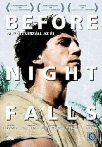 當黑夜降臨[2000年美國電影]