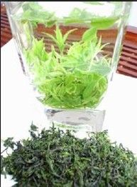 菊花苦丁茶 菊花苦丁茶