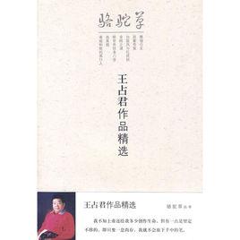 王占君作品精選 王占君作品精選