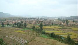 吳官田村 吳官田村