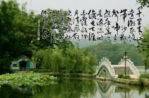 南柯子·十里青山遠 南柯子·十里青山遠