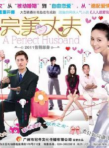 完美丈夫[2011年周家文、陳家霖執導電視劇]