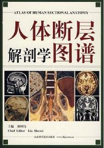 人體斷層解剖學圖譜