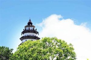 東山園林 東山園林