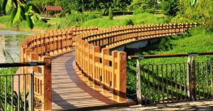 棕櫚島高爾夫球會 棕櫚島高爾夫球會