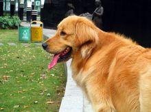 佳能A4000 IS直出樣片，無後期。