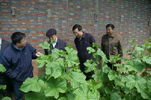 （圖）市委書記曹征海到新左旗阿木古朗鎮調研