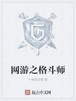 網遊之格鬥師 網遊之格鬥師