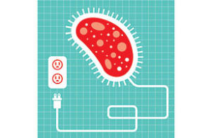細菌發電 細菌發電