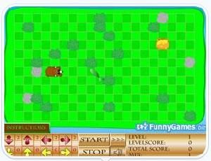 小熊覓食 小熊覓食