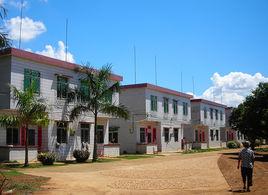 廣東省紅星農場 廣東省紅星農場