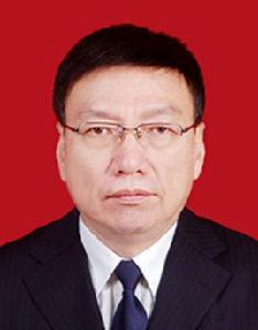 李傑[河南省三門峽市副市長、市公安局局長]