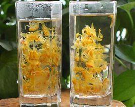 石斛綠茶 石斛綠茶