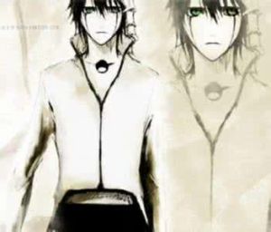 白哉一護 白哉一護