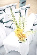 伊洛斯婚禮作品