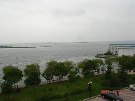 後官湖濕地公園 後官湖濕地公園