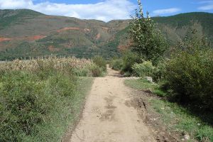 馬甲自然村 馬甲自然村