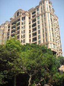 塞納森晴 塞納森晴