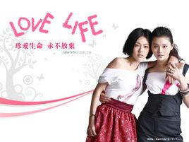 Love Life Love Life