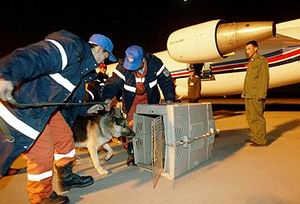 （圖）中國國家救援隊完成伊朗的搜救任務回國
