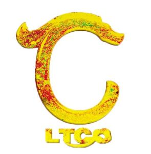 自貢市龍騰文化藝術有限公司 自貢市龍騰文化藝術有限公司