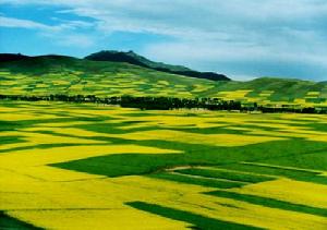 互助縣東山鄉 互助縣東山鄉