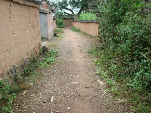 中所街村 中所街村