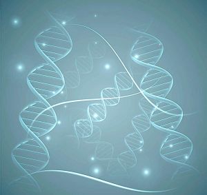 基因渡船 基因渡船