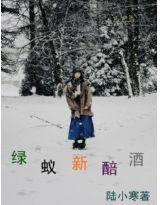 綠蟻新醅酒