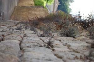 （圖）安家堡鄉