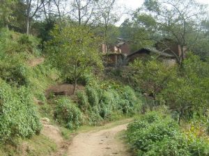 柏木庫村 柏木庫村