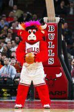 公牛隊吉祥物：貝利