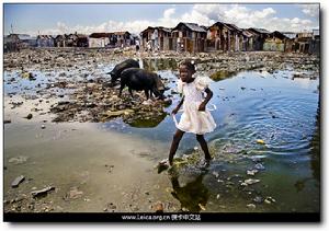 Alice Smeets的獲獎作品拍攝于海地首都太子港最大的貧民窟——Cité Soleil，照片中，一名穿著白色紗裙的女孩赤腳走在貧民窟前的積水中，周圍堆滿了各種各樣的垃圾，不遠處，兩隻黑豬正在覓食，藍天白雲的背景下，佇立著這一片名為“太陽之城”的貧民窟的破矮棚居。