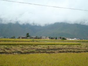 西官莊村 西官莊村