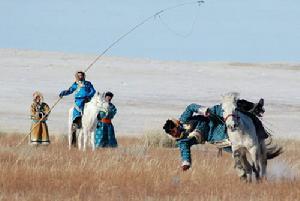 達慕大會 達慕大會