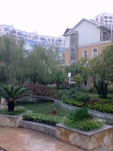 襄陽左岸春天綠化