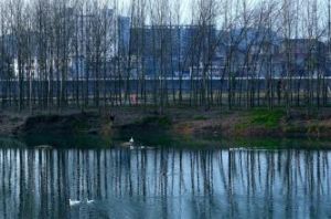 浮石煙村 浮石煙村