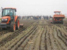 安徽省白湖農場 安徽省白湖農場