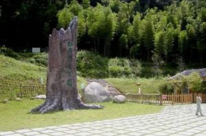 紅豆杉生態園 紅豆杉生態園