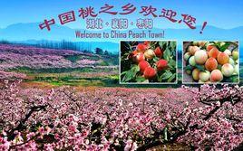 中國桃之鄉 中國桃之鄉