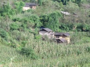 雙水井自然村 雙水井自然村