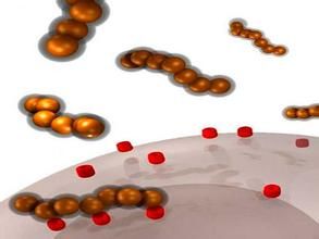 生物電路 生物電路